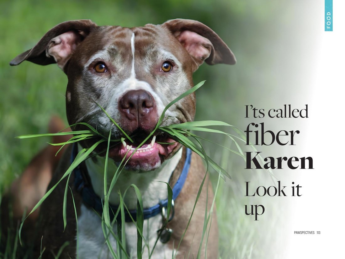 Food — it's called fiber Karen, look it up