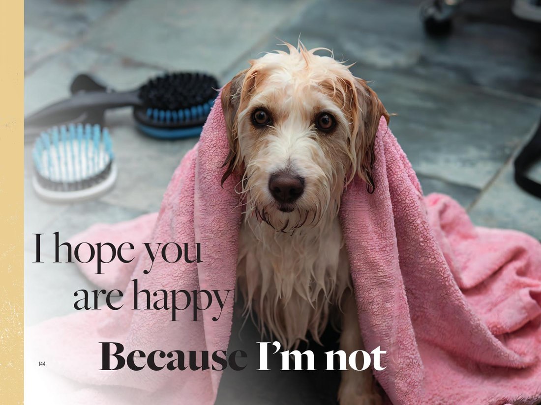 Grooming — I hope you are happy, because I'm not